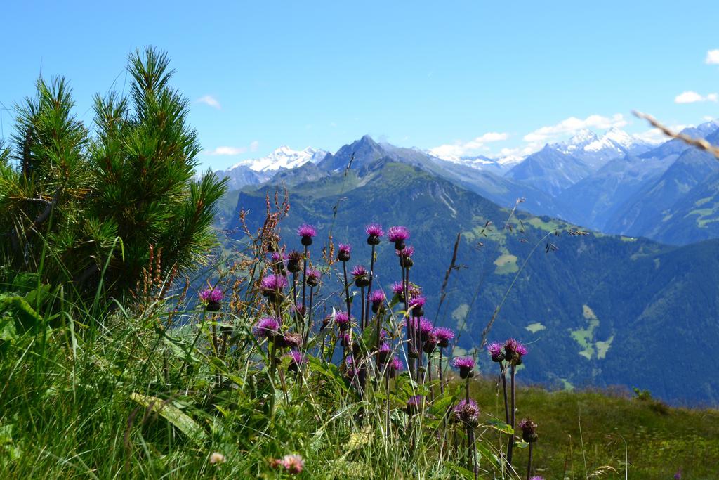 Apartments Emma, Zillertal, Tirol คัลเทนบาค ภายนอก รูปภาพ